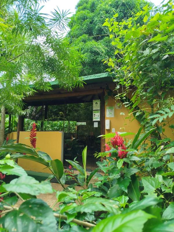 Pousada da Paz - image 11
