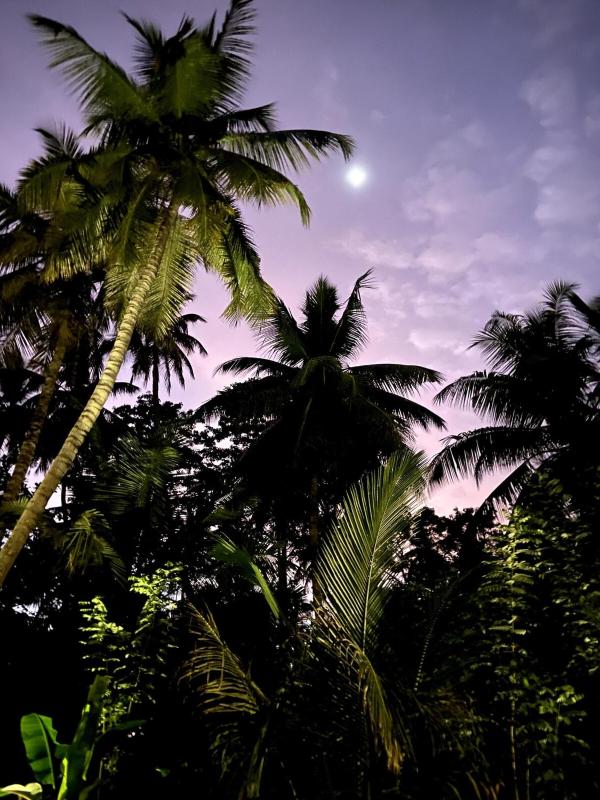 Podi Beach House Mawella - image 19