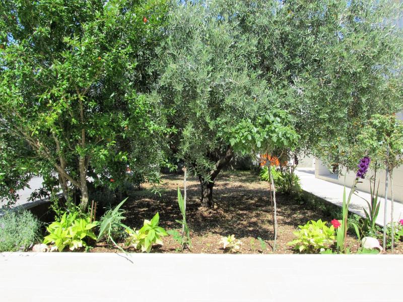 Junior Suite image 2