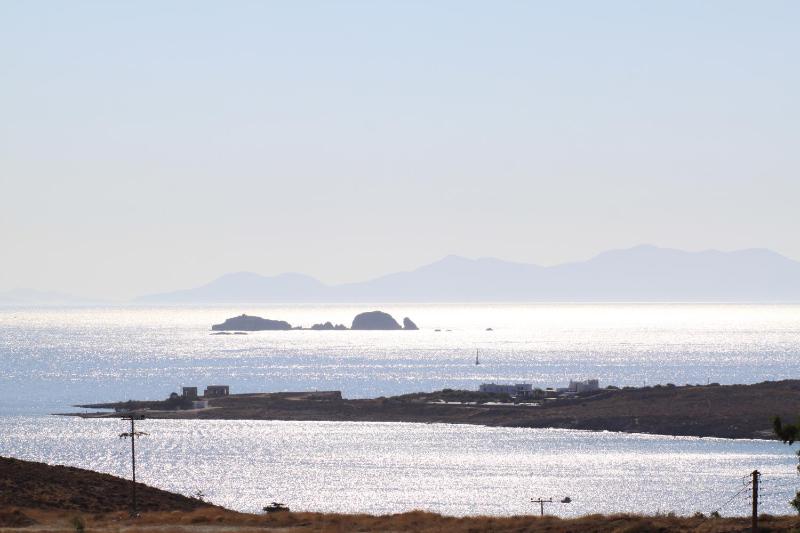 Blue Bay Heliolithos - image 16