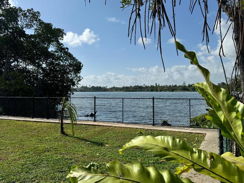 Gaia plantbased Bnb  riverside - image 2