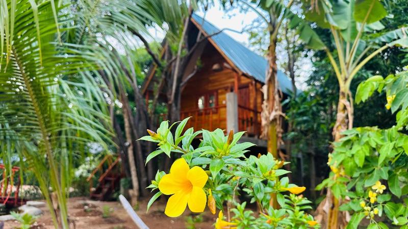 Kurulu Kele Tree House - image 5