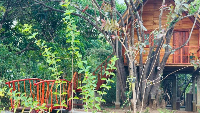 Kurulu Kele Tree House - image 6