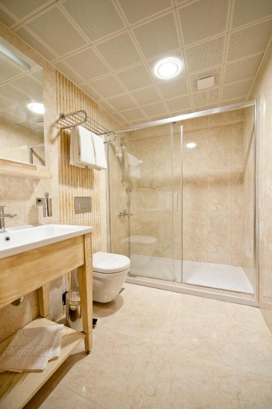 Studio Apartment image 4