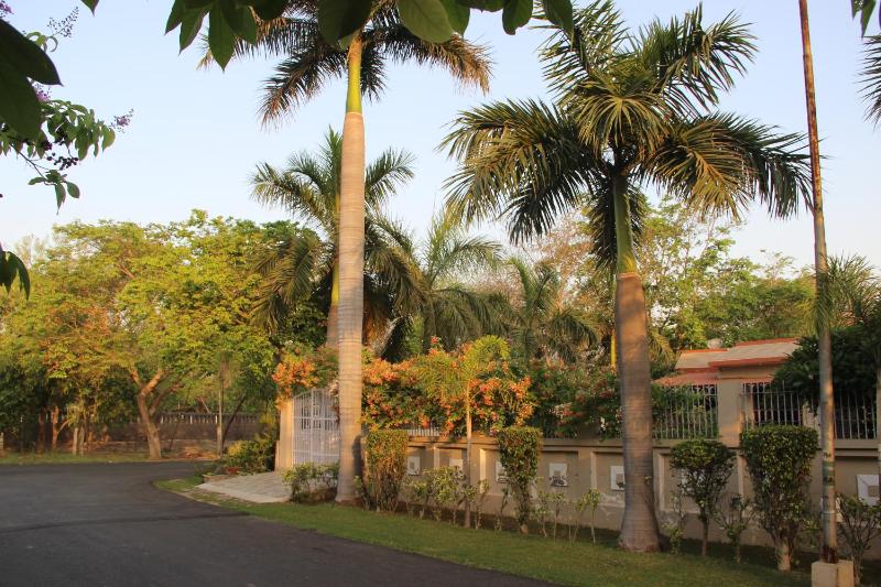 Zuri Holiday Home - image 4