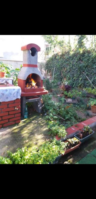 Vesna - image 4