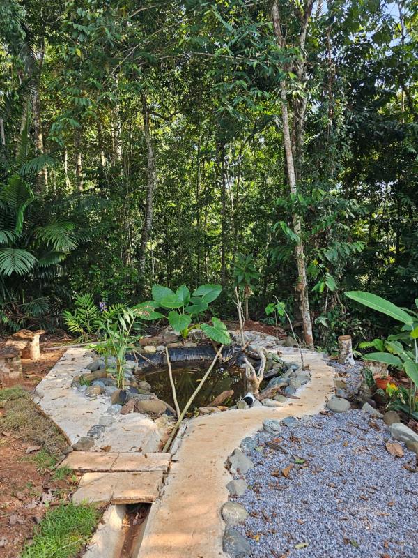Lodge espiritu del jaguarjundi - image 10