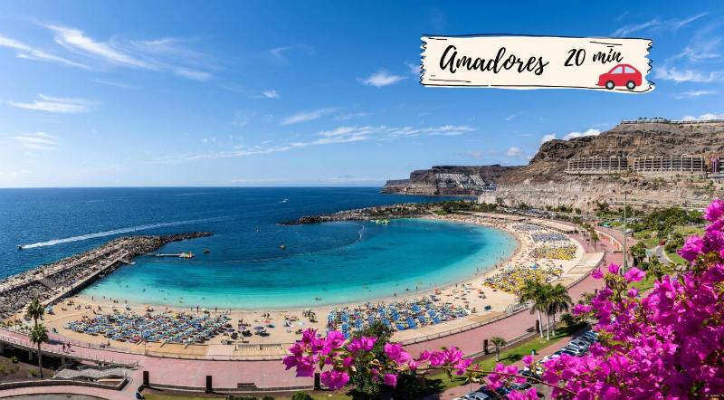 Nectarinas C1 by VillaGranCanaria - image 14