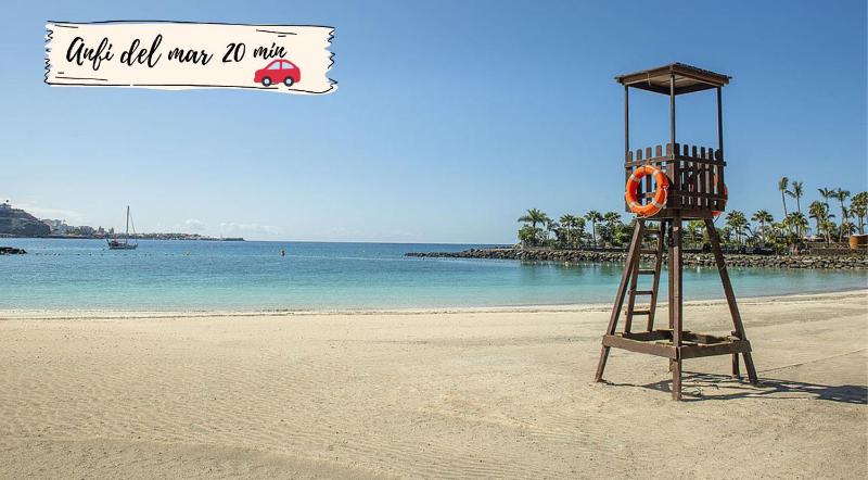 Nectarinas C1 by VillaGranCanaria - image 38