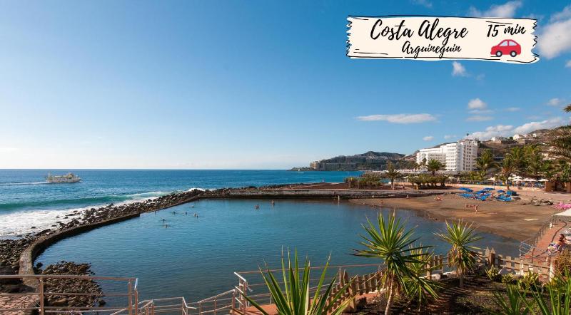 Nectarinas C1 by VillaGranCanaria - image 36