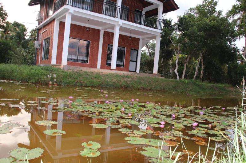 Water Lily Talpe. - image 12