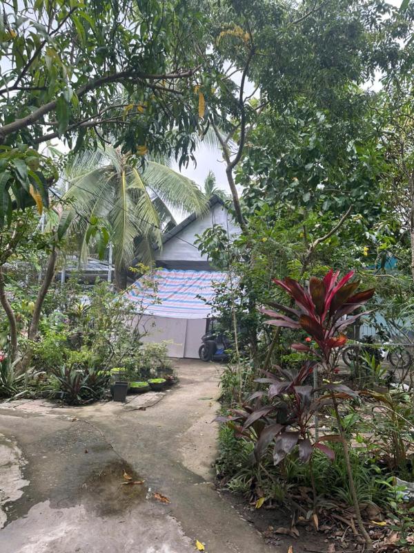 Green Garden Homestay - image 21