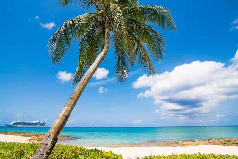 Cocoplum #3 - 2BR Oceanfront Condo on Seven Mile Beach - image 10