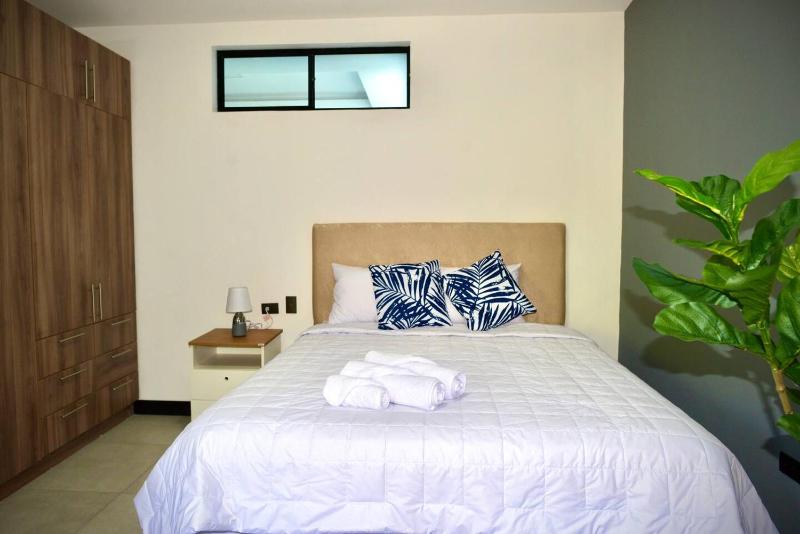 Beautiful & Cozy Suite 3 min from Paseo Escalon - image 1