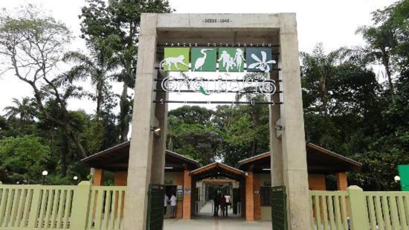Santos Prime Stay - image 8
