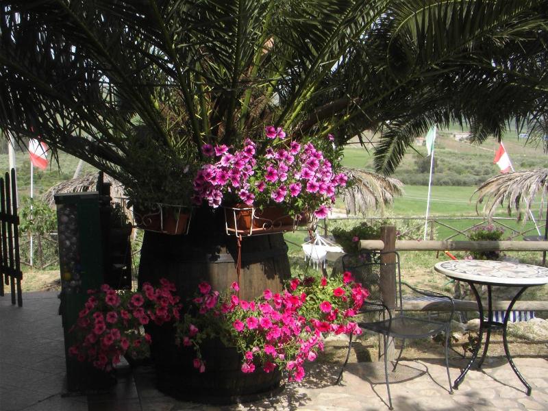 Agriturismo Reggia Saracena - image 3