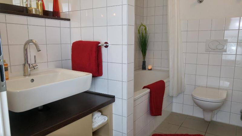 One-Bedroom Apartment image 3