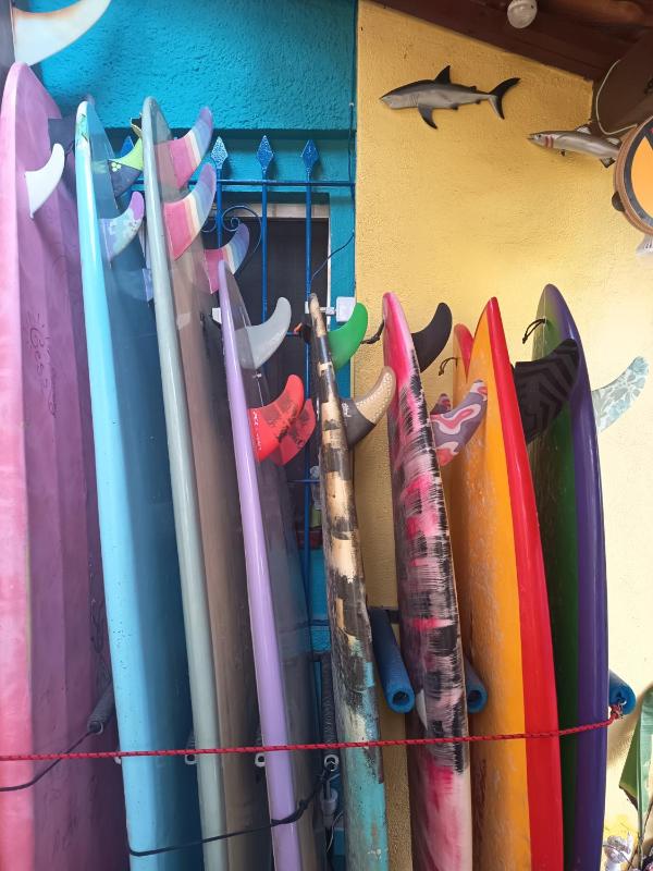 Ubatuba Wild Surf House - image 39
