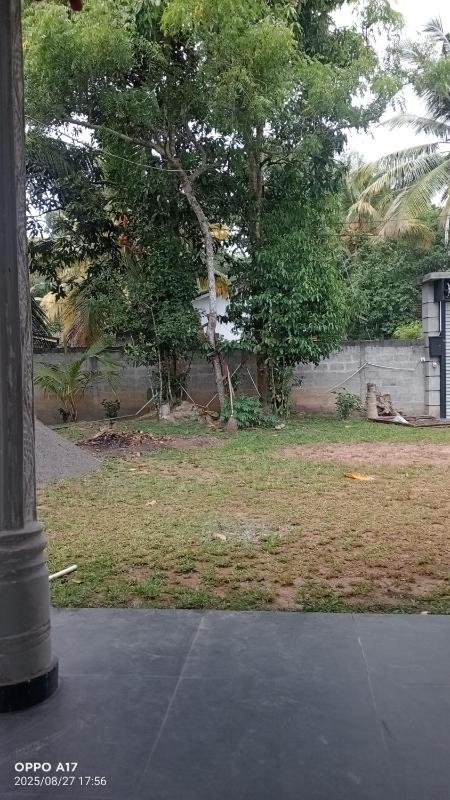 Deluxe homestay - image 2
