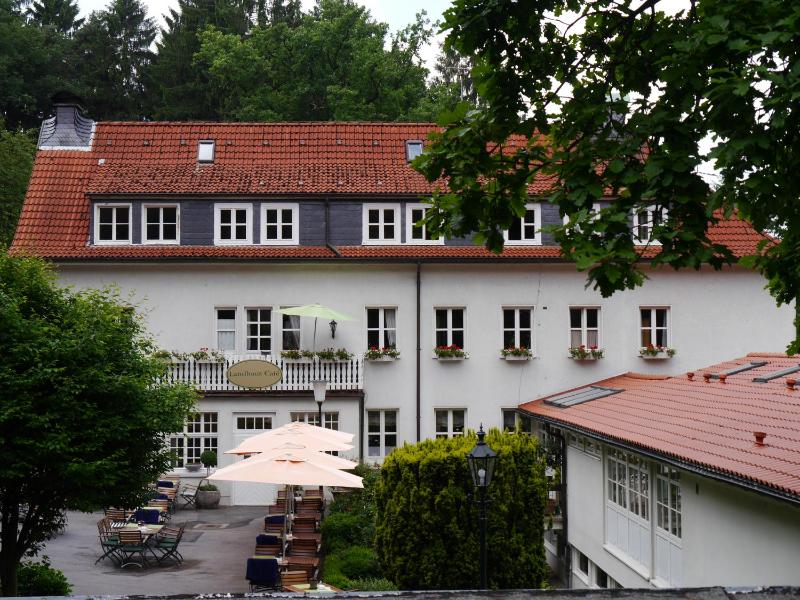 One-Bedroom Apartment image 3