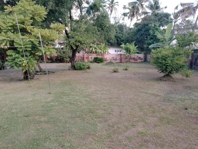 Alleppey Tharavad - image 13