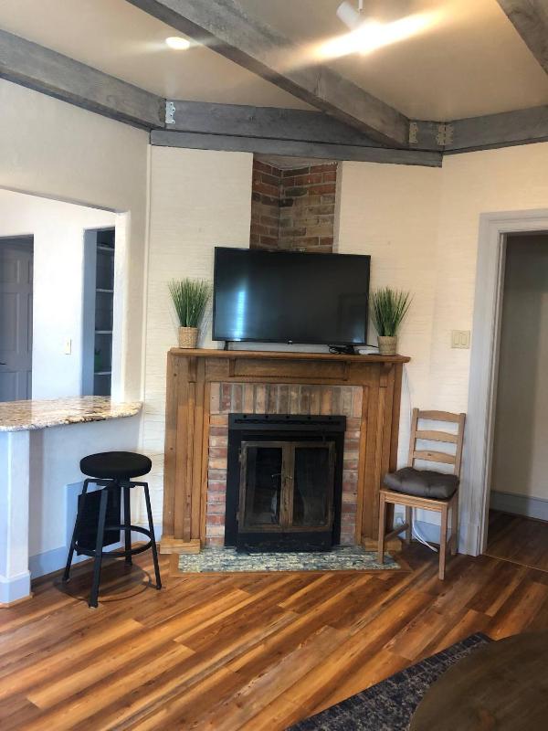 Palmer suite 1 BR downtown/CC - image 26