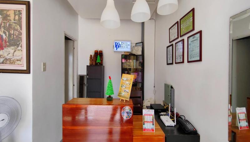 Pring Pension House Puerto Princesa - image 8