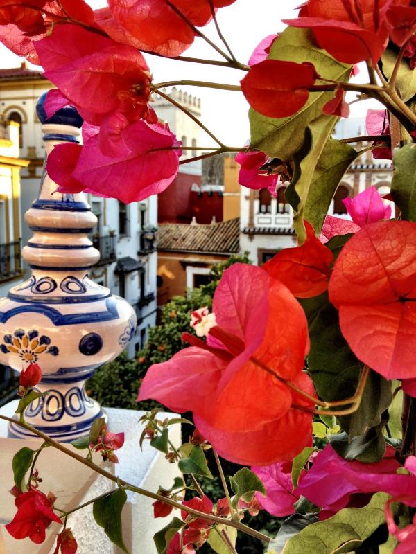 Hotel Boutique Elvira Plaza - image 7