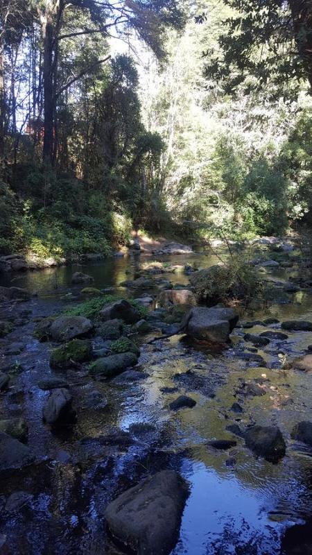 PUCON HOUSE - Lake Access & Near Ski Center - image 25