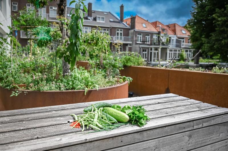 Court Garden Hotel - image 6