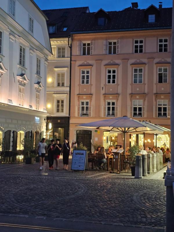 Riva Residence in Old Town Ljubljana by the Cobblers' Bridge - image 4