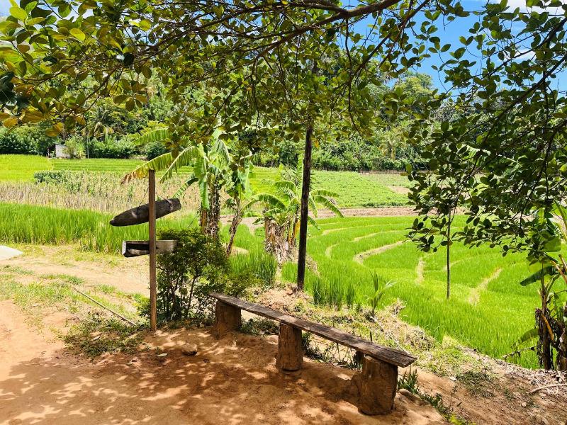 Wow Field Homestay - image 39