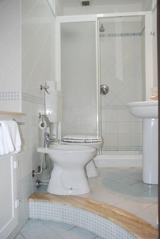 Double or Twin Room image 4