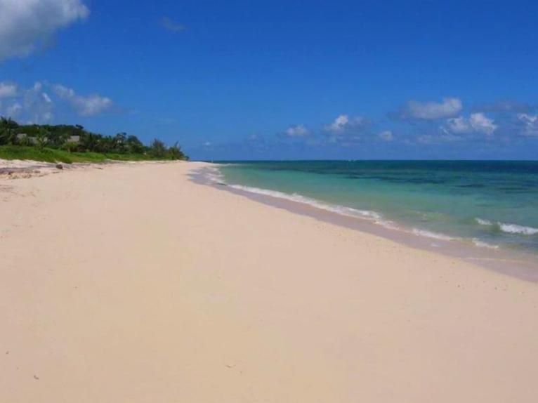 Lovely Apartment with 24h security - walking distance to beach downtown shops and restaurants - image 6