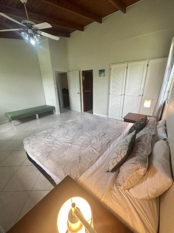 Embassy Villa - image 8