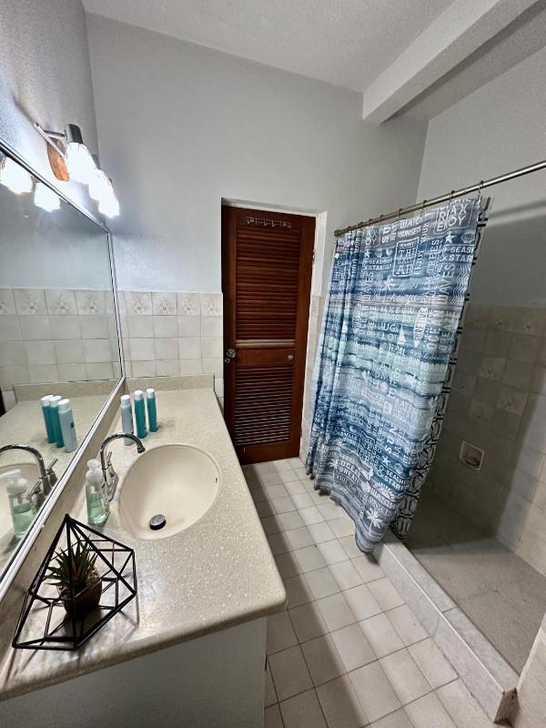 Embassy Villa - image 10
