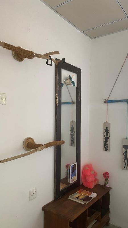 Roxy - image 37
