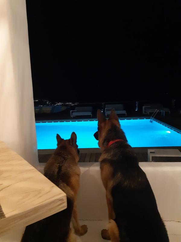 Tharroe of Mykonos Boutique Hotel - image 7