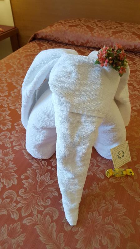 Superior Double or Twin Room image 4