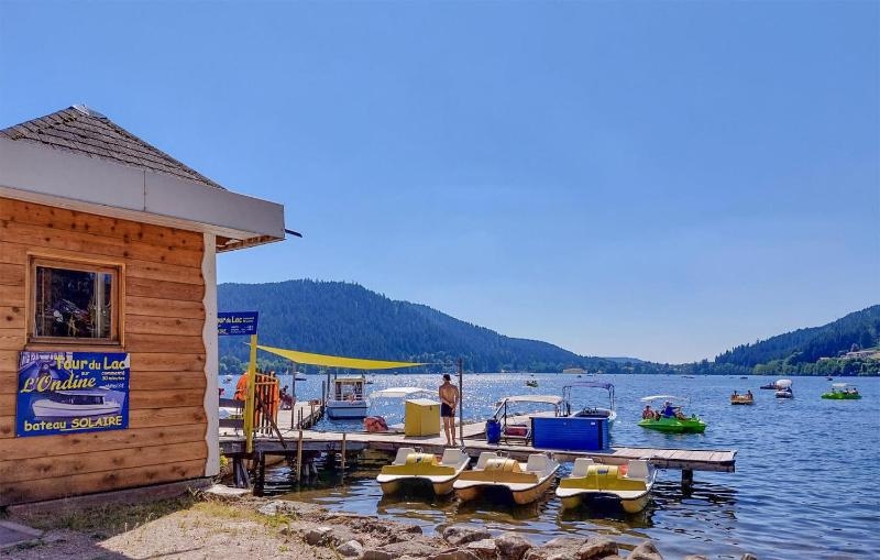 Gorgeous Apartment In Gérardmer With Wifi - image 5