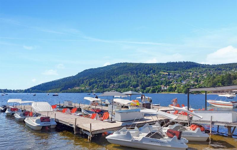 Gorgeous Apartment In Gérardmer With Wifi - image 16