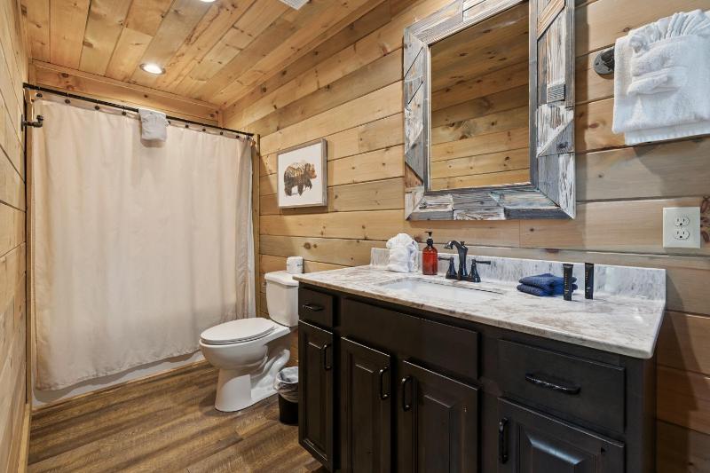 Iron Mountain Lodge cabin - image 40