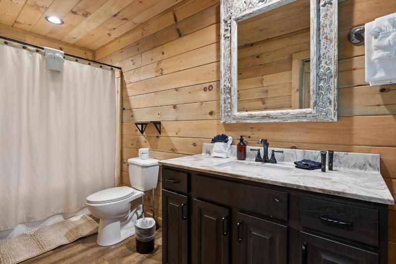 Iron Mountain Lodge cabin - image 6