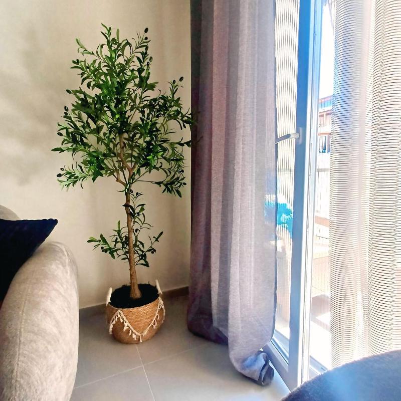 Asel apartment golem - image 16