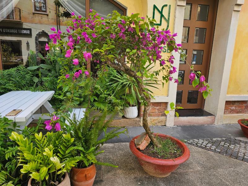 La Maison De Dino Hotels & Apartments Sunset Town Phu Quoc - image 30