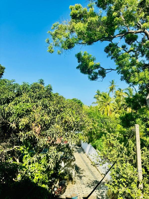 Tharu Holiday Home - image 2