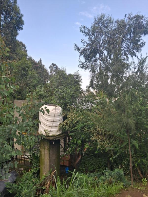 Best Lalibela Home Stay - image 12
