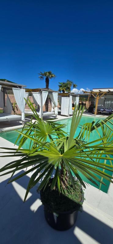 Villa Aqua Vista - image 8