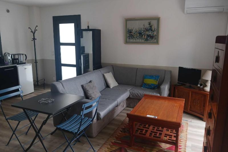 Comfortable house near downtown - image 1