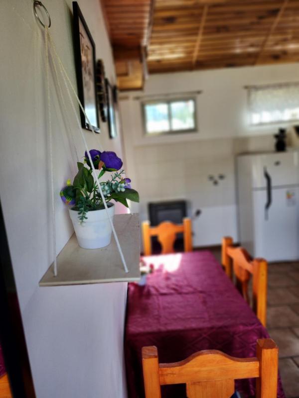 The Garden House - image 4